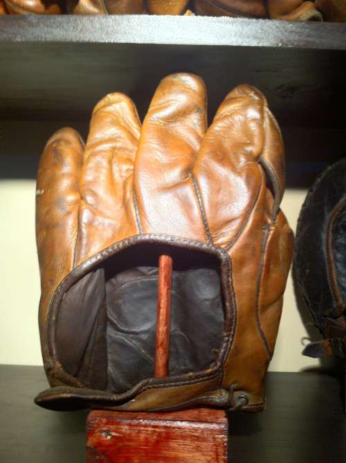 1 Inch Web Brown Back