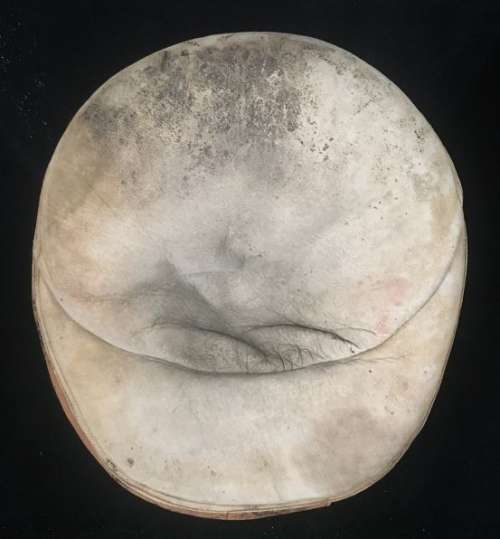 c. 1890's-00's Ted Kennedy Full Round Catchers Mitt Front