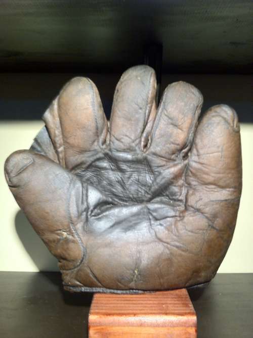 Alex Taylor Full Web Brown Front