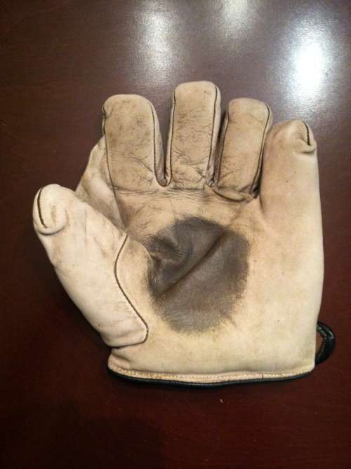 Alex Taylor Full Web Front