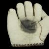 Babe Ruth Gloves