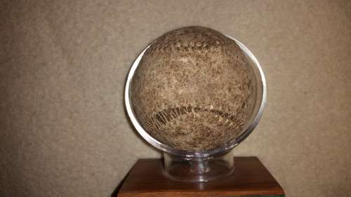 19th Century Figure 8 Unknown 116