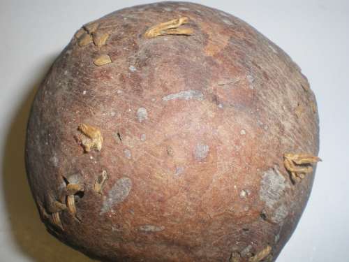 19th Century Lemon Peel Ball 193