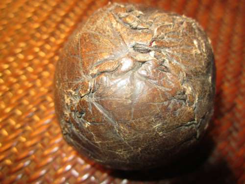 19th Century Lemon Peel Ball 202