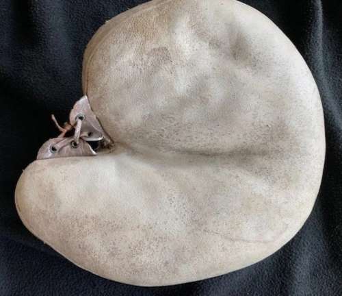 Bon Tober Catchers Mitt Front