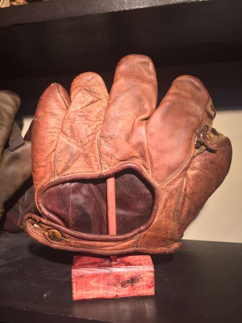 Diamond D3 Grommet Web Back