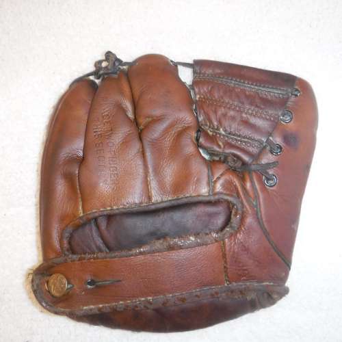 Joe Hatten Dubow The Pelican Back