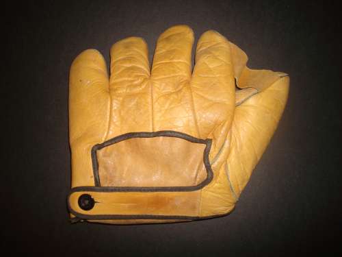 Excelsior 307 1 Inch Web Back