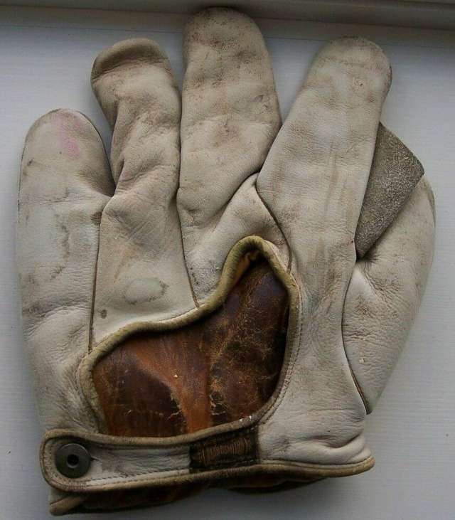 Goldsmith 46X Full Web Back