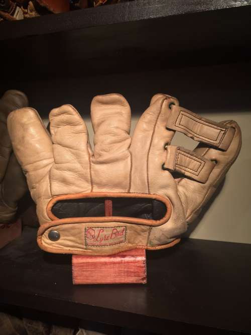 Nutting & Young Lyre Bird Back - Australia