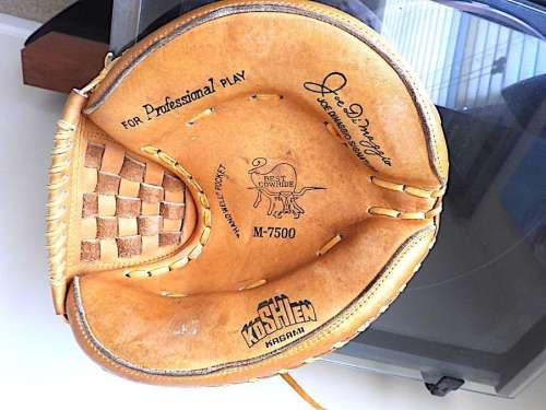 Joe DiMaggio Koshien M-7500 Catchers Mitt Front