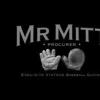 Mr. Mitt Collection