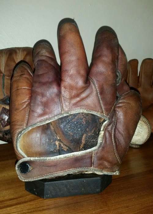 Norman 1 Inch Web Back