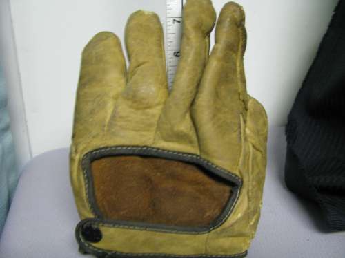 Norman G305 1 Inch Web Back