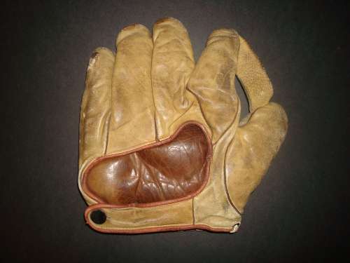 Norman Professional Model 1 Inch Web Back