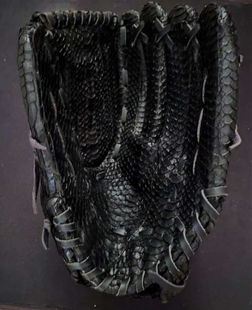 Elisabeth Weinstock Snakeskin Glove Front