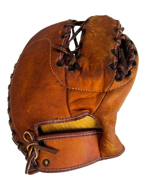 BLS 203 Basemitt Back