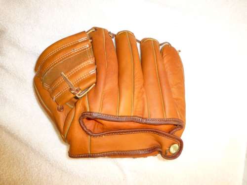 Rog Sawyer Kennedy 551 Back