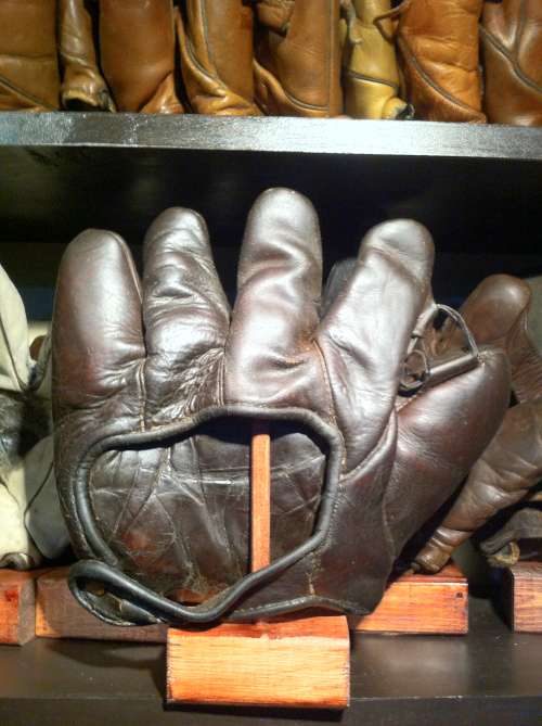 Single Tunnel Loop Brown Back