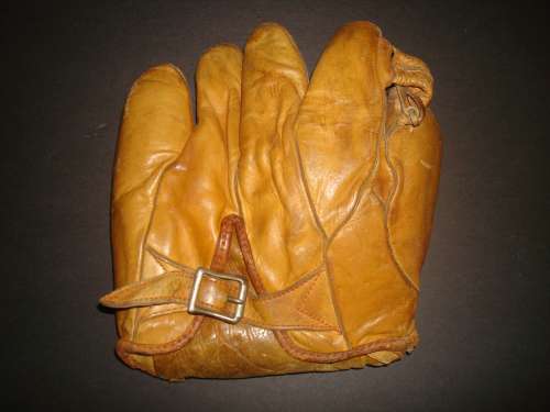 Single Tunnel Web Buckleback Back