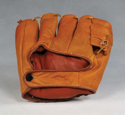 Ted Williams BLS 110B Back