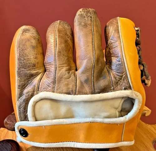 Two Tone Glove Back