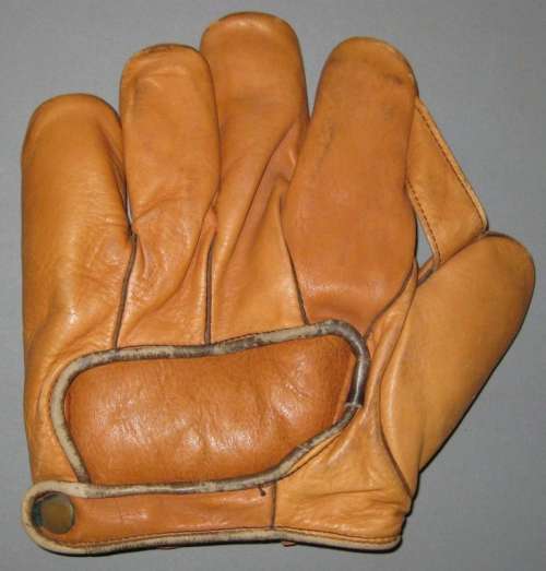 Pennant Bull Pup 1 Inch Web Back Rob