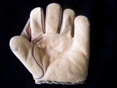 Pennant Bull Pup 1 Inch Web Front