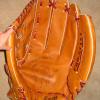 Rawlings Heart of the Hide Pro Giant Front
