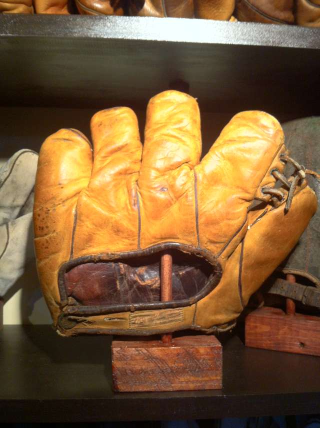 Raywill 270 Grommet Web Back