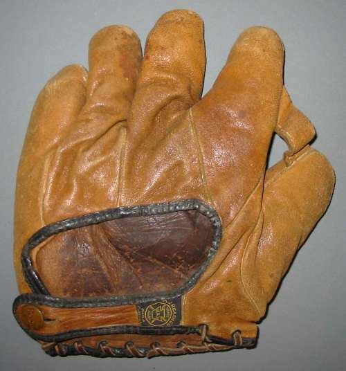 A.J. Reach Brown 1 Inch Web Back