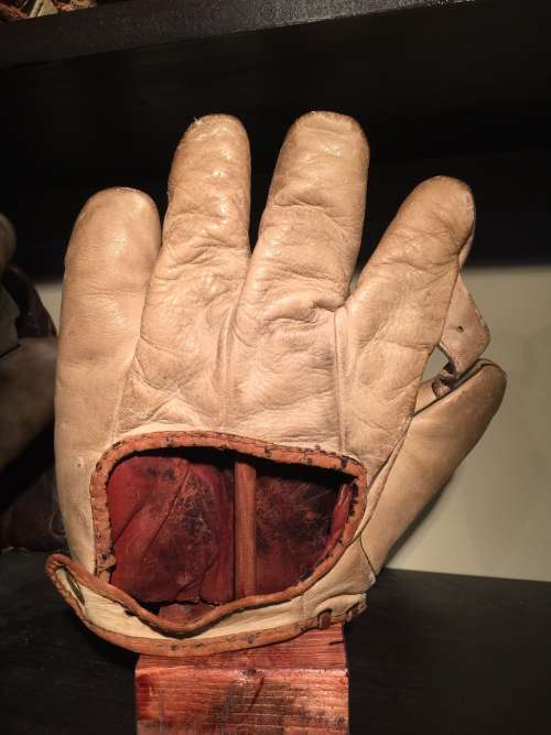 A.J. Reach 15 1 Inch Web Back