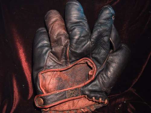 A.J. Reach 72 1 Inch Web Back