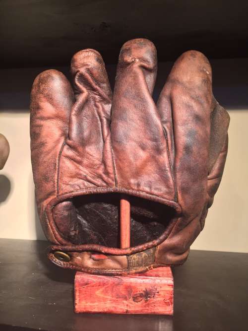 A.J. Reach Full Web Brown Back