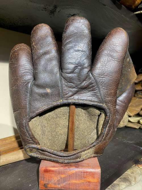 A.J. Reach Full Web Brown Back