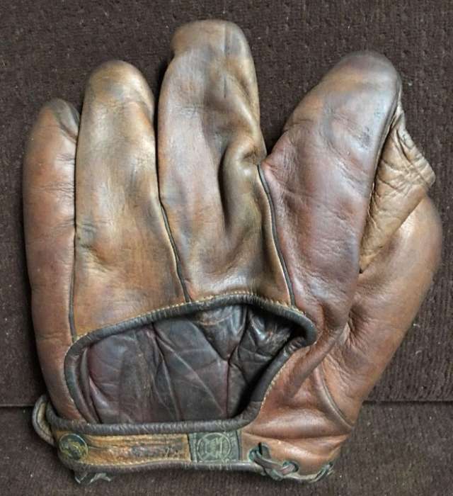 A.J. Reach Full Web Brown Back