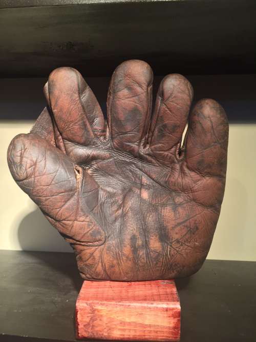 A.J. Reach Full Web Brown Front