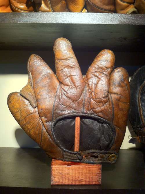 A.J. Reach Full Web Brown Lefty Back