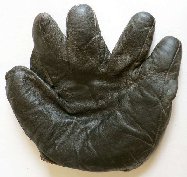 A.J. Reach Full Web Black Front