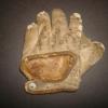 A.J. reach 1910 Philadelphia Athletics Souvenir Glove Back