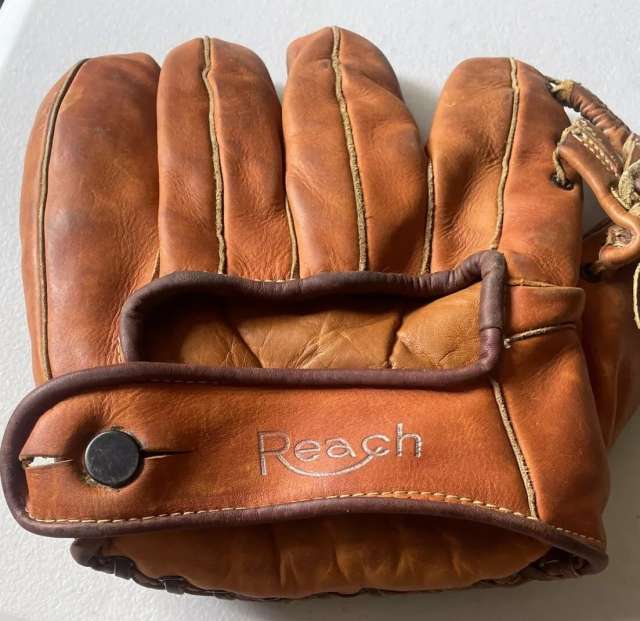 Bruce Campbell Reach 228 Back