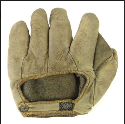 Spalding Full Web Back