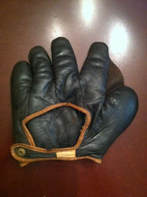 Spalding Full Web Black Back