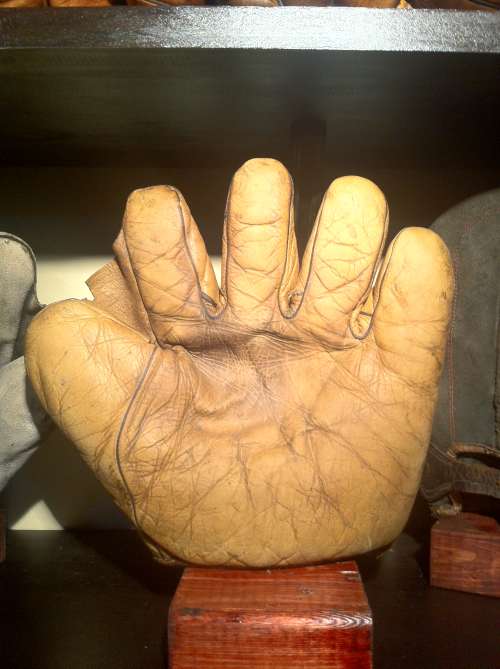 Spalding Full Web Brown Front