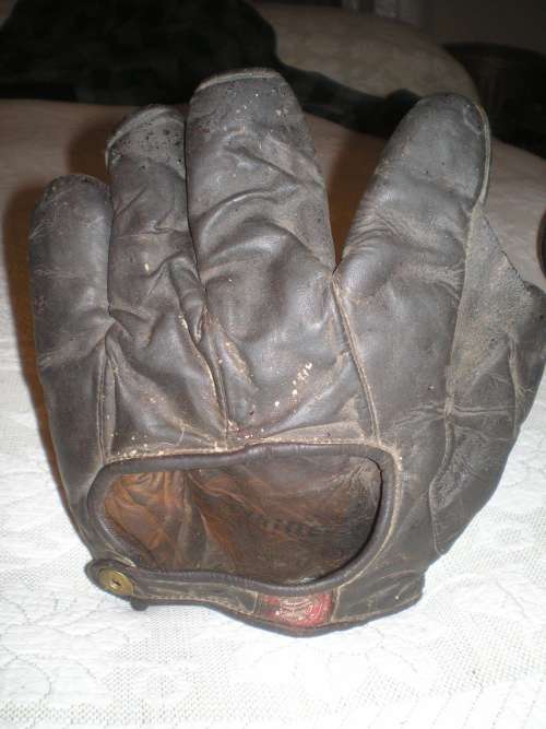 Spalding Full Web Dark Brown Back