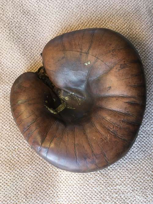 Zack Taylor Stall & Dean Front