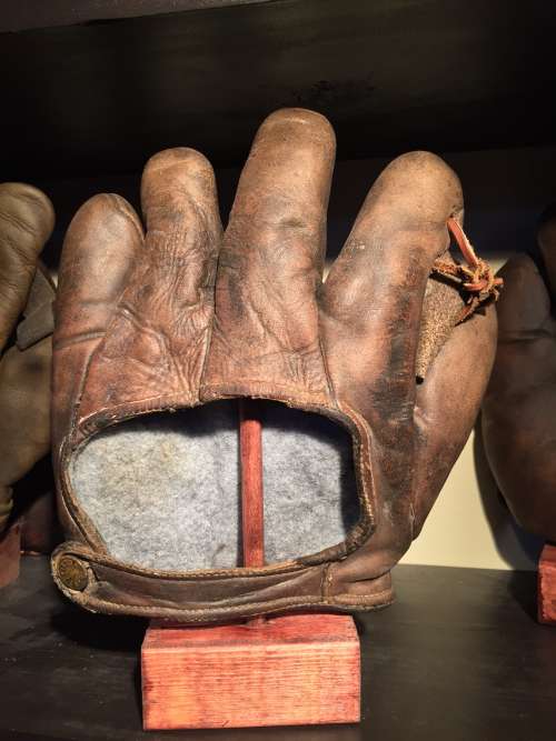 Victor Full Web Brown Back