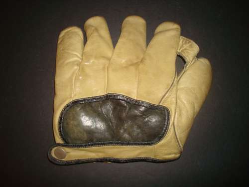 Walter Johnson 10 1 Inch Web Back