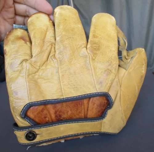 Walter Johnson Goldsmith JG12 Back