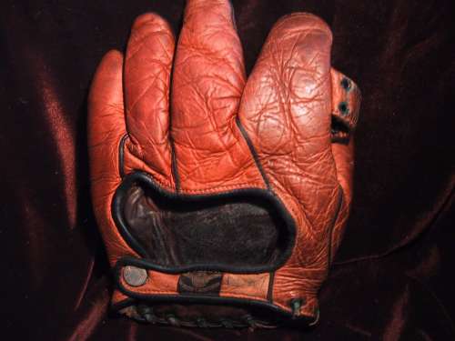 Wright & Ditson 1 Inch Web Back